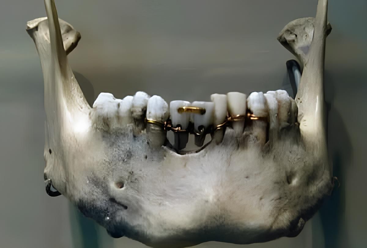 Photo 2025 09 02 11 39 46 (1)