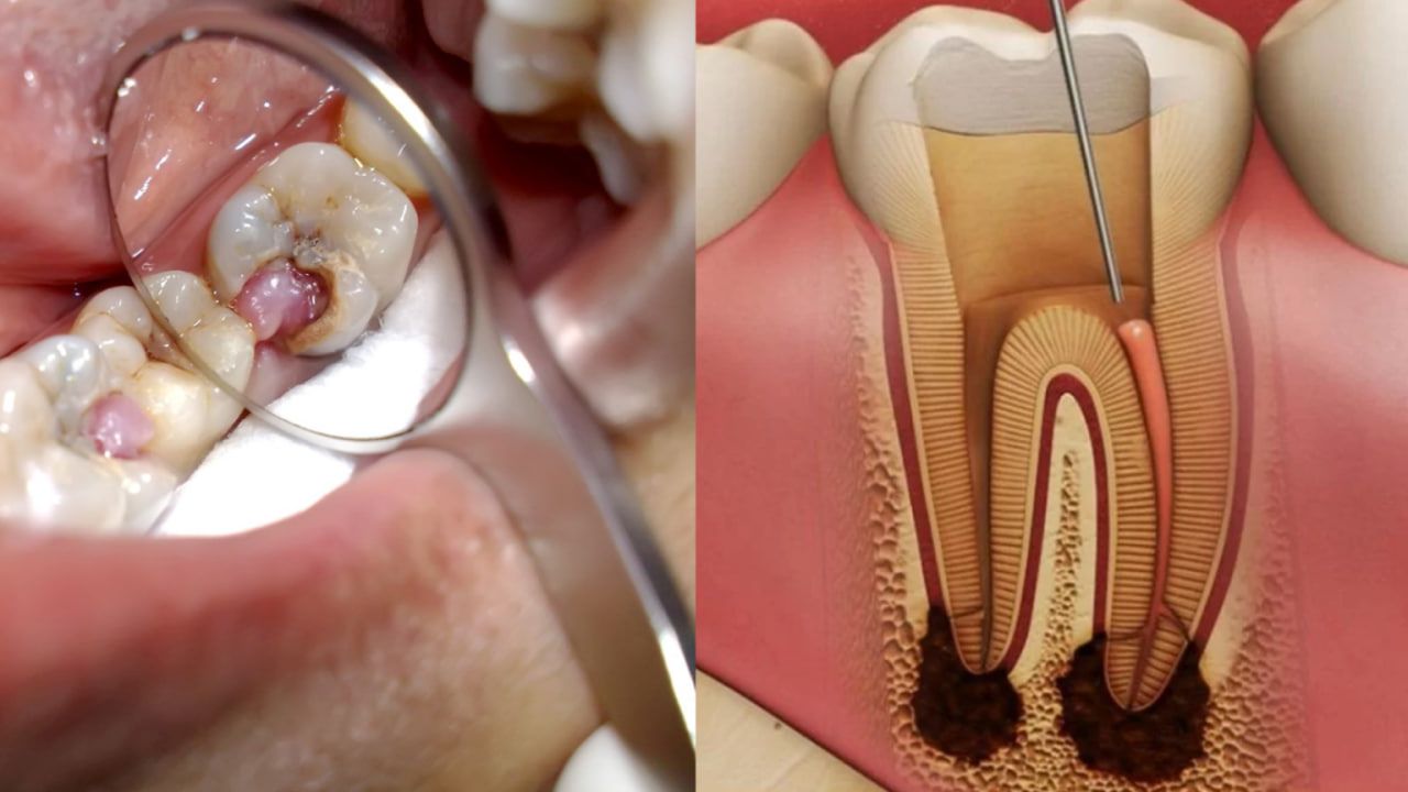 Photo 2025 09 25 14 49 05