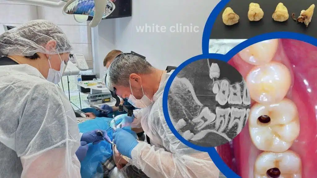 Photo 2025 09 18 14 30 12