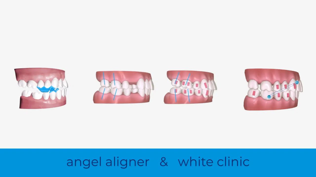 Photo 2025 09 26 13 26 42