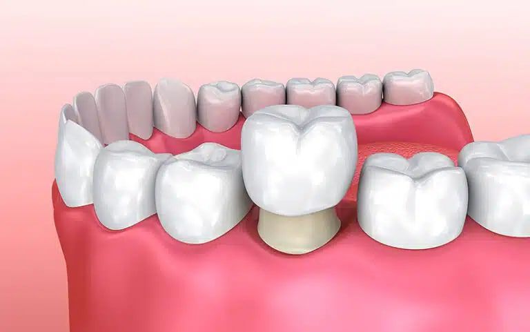 Photo 2025 09 08 13 33 39