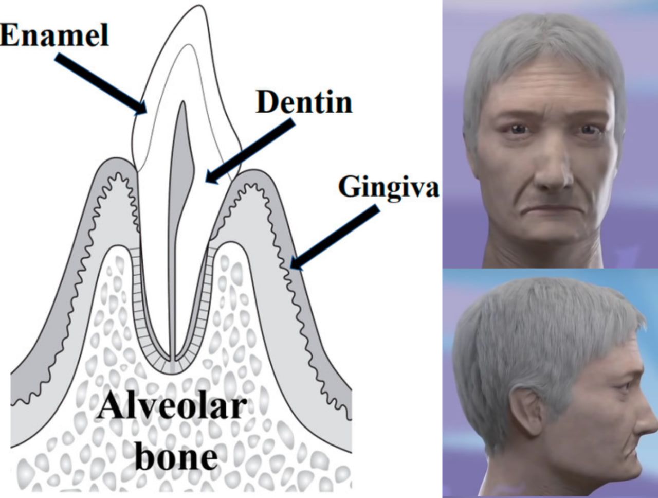 Photo 2025 09 23 12 25 39