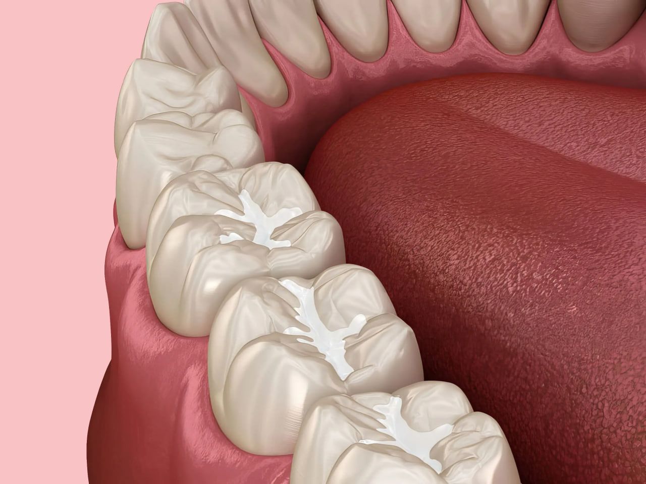 Photo 2025 09 02 11 29 50