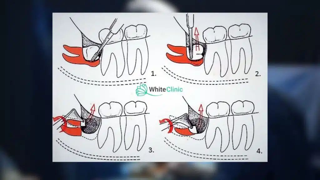 Photo 2025 09 26 15 07 33