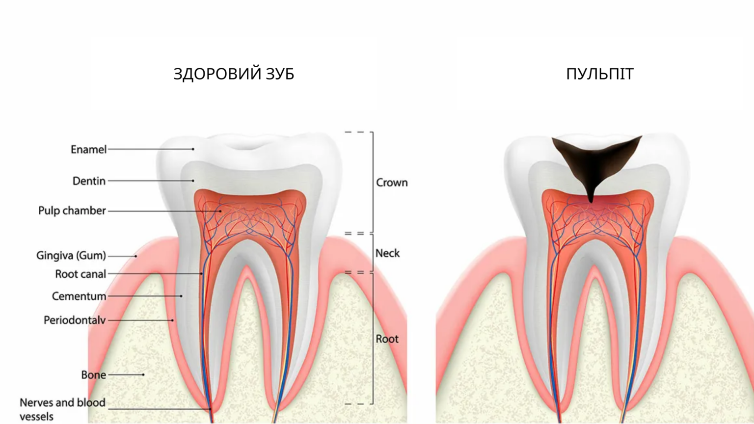 Likuvaniya Pulpitu 1536x864