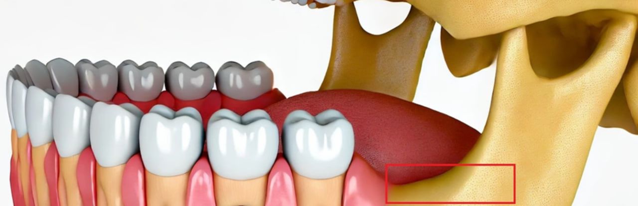 Photo 2025 09 23 12 24 47