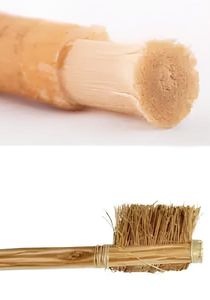 Photo 2025 09 02 11 36 43 (1)