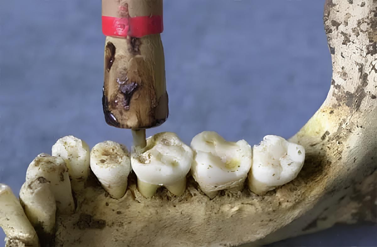 Photo 2025 09 02 11 36 13 (1)