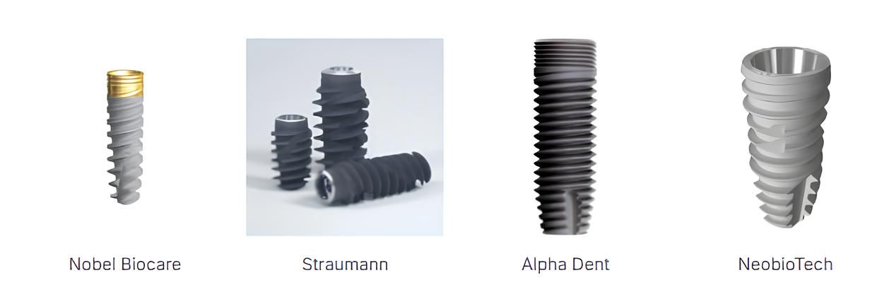 Photo 2025 09 18 13 23 35 (1)